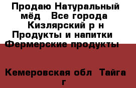 Продаю Натуральный мёд - Все города, Кизлярский р-н Продукты и напитки » Фермерские продукты   . Кемеровская обл.,Тайга г.